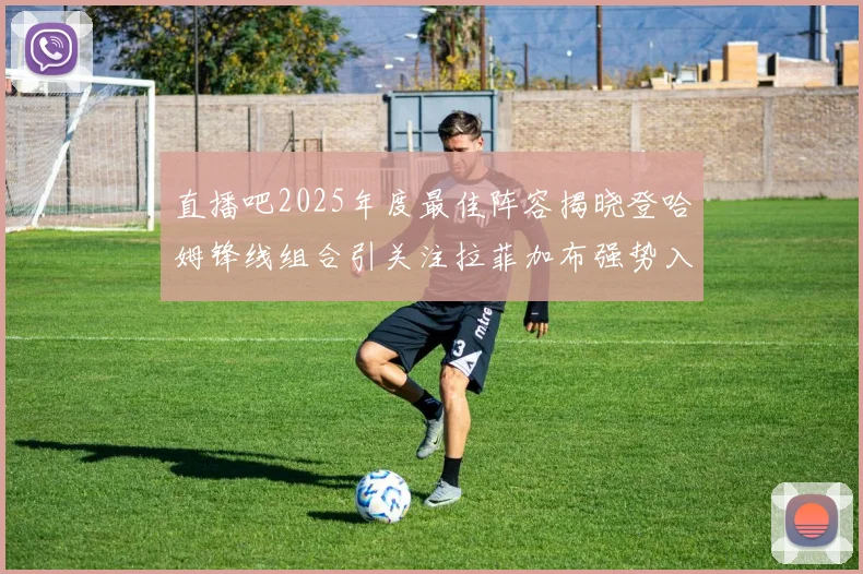 直播吧2025年度最佳阵容揭晓登哈姆锋线组合引关注拉菲加布强势入选