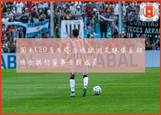 国米CEO马洛塔当选欧洲足球俱乐部协会执行董事会新成员