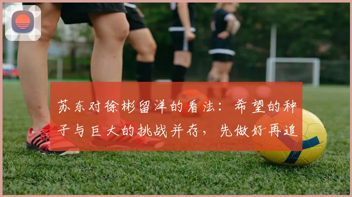 苏东对徐彬留洋的看法：希望的种子与巨大的挑战并存，先做好再追求完美